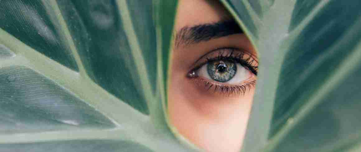 blauw-oog-achter-bladeren