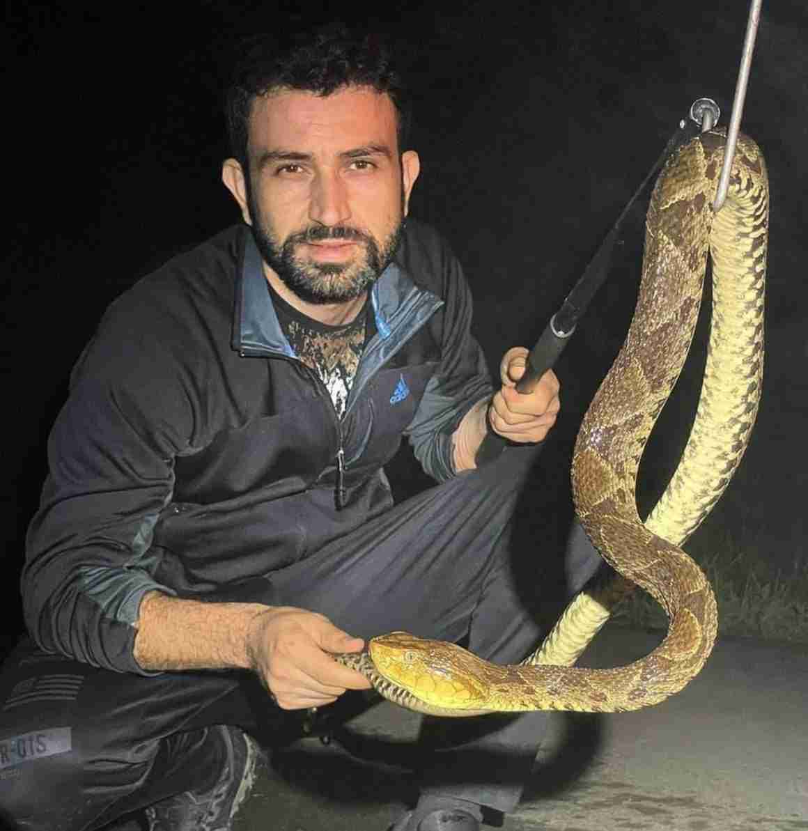 Fer-de-lance slang