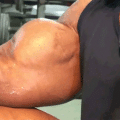 biceps-flexen-gif