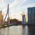 Erasmus brug - Rotterdam