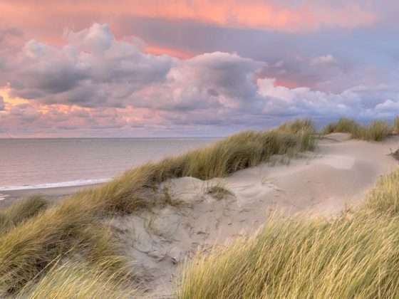 nederlandse kust ardennen-min