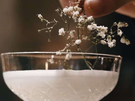 Witte Cocktail