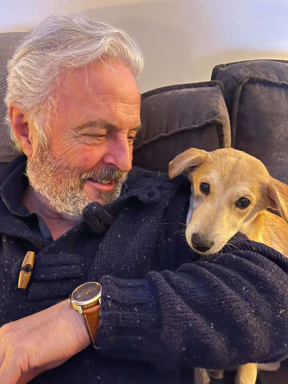Huub-stapel-hond